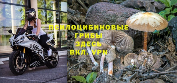 амфетамин Алексеевка