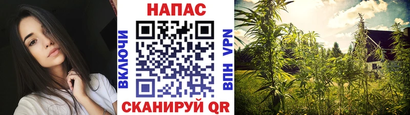 Конопля SATIVA & INDICA Старая Купавна